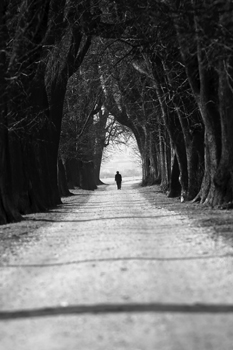 Alzheimer’s Steals Even More When Disease Strikes Early