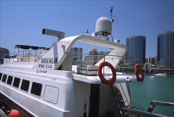 UAEAmbassador3