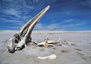 Culture Homepage – August 2011