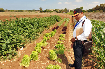 D.C. Ambassadors Visit Israel Ahead of U.N. Vote on Palestine