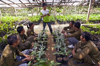 Maligned Multinational Corporations? The Business of Building a Better World