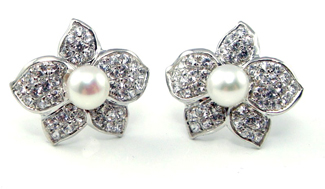 c1.gift.jewelry.earrings.story