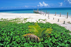 a4.belize.country