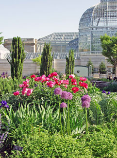 d2.travel.botanic.story