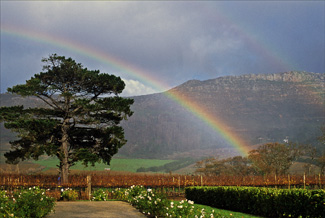 a4.southafrica.rainbow2.story