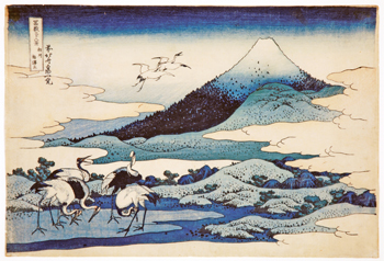 b1.cherry.fuji.story