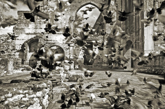 b1.lost.SanNicholas.story