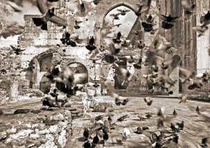 Culture Homepage – February 2012