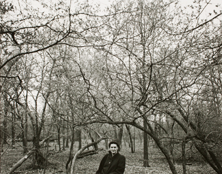 Harry Callahan Elevated the Every Day to Artistic Heights