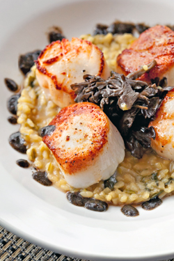 New Chef Rejuvenates Casual But Creative Bistro