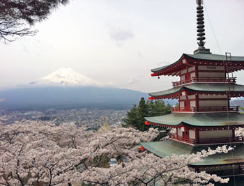 Environmental Film Fest Links Our Well Being to Planet’s