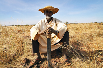 a5.niger.sidikou.food.story
