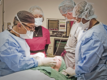 Trendsetting Transplants Help Washingtonians Put Best Face Forward