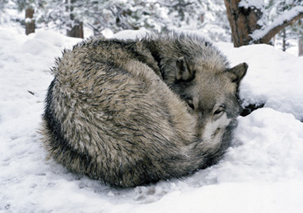 Culture Homepage – September 2012