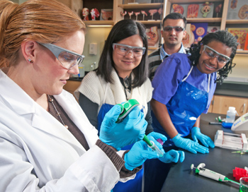 c1.colleges.nova.students.story