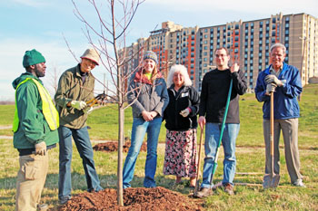 c2.meridian.planting.story