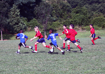 c3.sports.rugby.kids.story