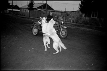 b5.Sigal.Verkhneimbatsk.story