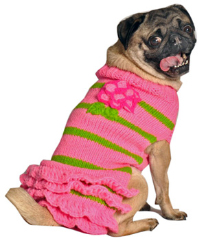c1.gift.guide.pug.sweater.chilly.dogs.story