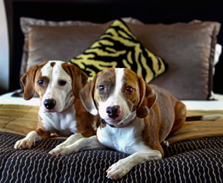 d2.inauguration.kimpton.madera.story