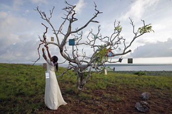 Environmental Film Fest Brings World of Eco Issues to D.C.