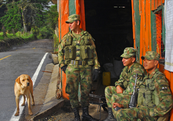 a5.colombia.farc.story