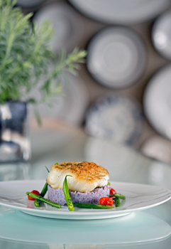 Jardenea’s Farm-to-Fork Approach Checks in to Rejuvenate Melrose Hotel