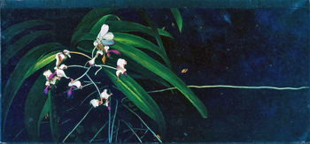 b5.columbia.sanchez.story