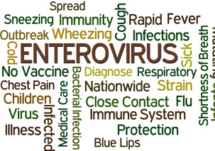 d1.medical.enterovirus.spsec