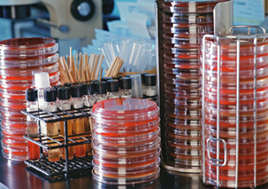 e1.medical.bacteria.cultures.spsec