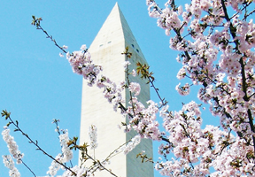 b1.cherry.culture.spsec