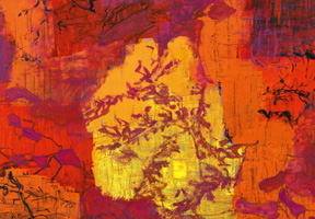 b1.kirkeby.new.shadows.spsec