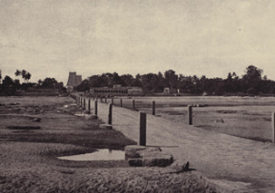 b1.linnaeus.walk.spsec