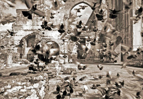 b1.lost.culture.spsec