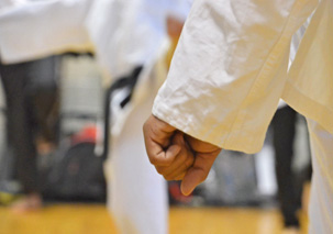 c2.karate.fist.spsec