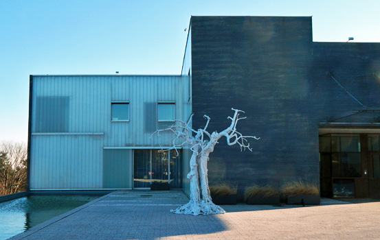 d1.swiss.residence.front.slide