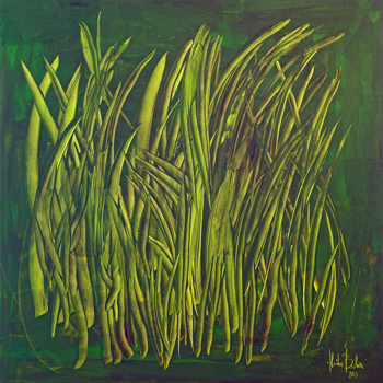 b3.brazil.oas.grass.story