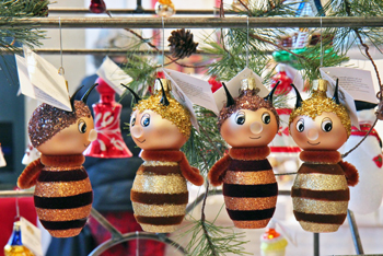 Events –  November 2013