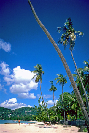 a4.grenada.beach.story