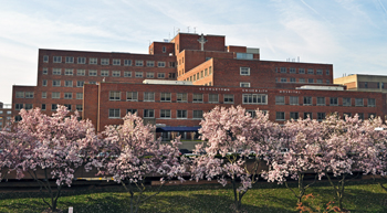 d1.international.patients.GUH.story