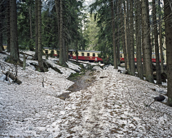 Contemporary Artists Stage Revitalization in Saxony-Anhalt