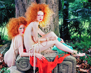 b4.linger.garden.brosch.story