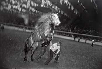 b5.winograd.fortworth.story