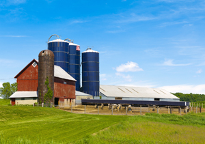 Debate Over Exports Exposes Rift on Hill