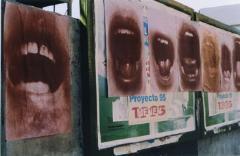 b6.territories.graciela.bocanada.story