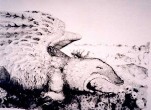 Embassies of Argentina, Italy Feature Hidden, Homegrown Gems