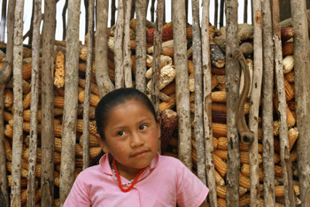 a3.central.america.children.corn.story