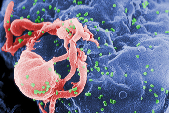 HIV/AIDS Becomes Different Kind of Disease for Survivors