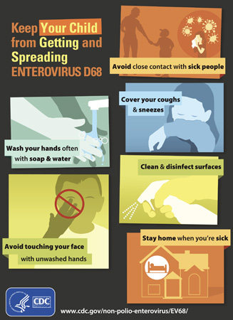 d1.medical.enterovirus.graphic.story