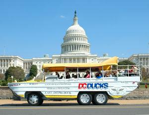 gift.staycation.DC.ducks.story